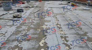 Lớp chống thấm kém chất lượng bị bong tróc