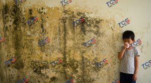 Tường nhà bị thấm mốc gây mùi hôi khó chịu, ảnh hưởng sức khỏe gia đình