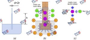 Hiện tượng mao dẫn nước trong vật liệu xây dựng