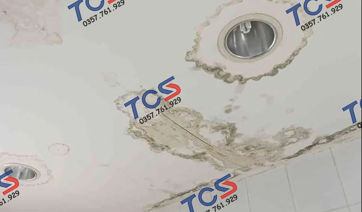 Trần nhà bị mục nát, sơn bong tróc do thấm từ nhà vệ sinh tầng trên