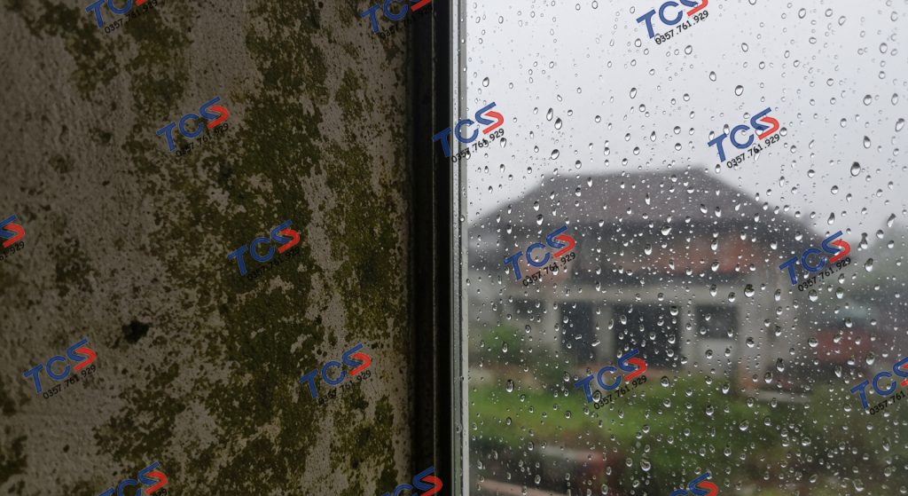 Tường nhà bị ẩm mốc, đổ mồ hôi trong mùa nồm ẩm miền Bắc