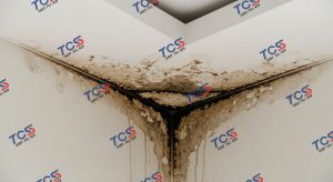 1 góc trần biệt thự ở Vinhome Riverside) bị thấm, loang lổ do thi công sai cách
